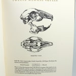 Twelve Mammal Skulls by James Trissel, Sally Hegarty and Barbara Winternitz, illustrated by Charles Moore. Interior page with skull illustration.