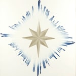 Pale Morning Star by Shirley Jones. Close up.
