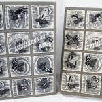 Amphigorey Also. Front covers