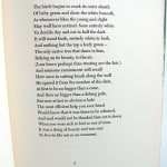 Steeple Bush by Robert Frost. Interior page with poem.