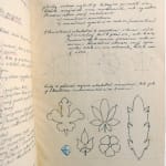 Three Czech design and ornament sketchbooks. Text spread