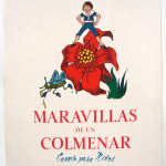 Maravillas de un Colmenar by Blanca Lydia Trejo. Front cover
