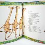 A Zooful of Animals. Illustrated spread