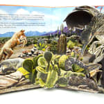Creatures of the Desert World. Pop-up spread