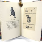 A Primer of Life along the Hammer Creek or, Some Friends and Enemies of the Turtle. Illustrated spread