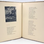 Stubble Burning. Illustrated text spread