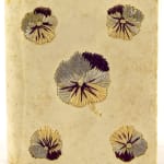 The Book of Common Prayer. Front cover