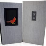 Birds of Manhattan. Binding and box