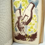 A Sense of Humus. Illustration