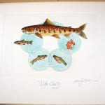 Atlantic Salmon, published by the Cheloniidae Press. Illustration
