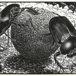 Halycon Quarterly Journal. Contribution by M.C. Escher