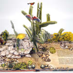 Creatures of the Desert World. Pop-up spread