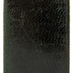 The Gorham Calendar for 1901. Front cover