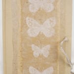 The Lost Wings of Summer by Tracey Bush. Boards