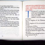A Book of Songs and Poems from the Old Testament and the Apocrypha illustrated by Graily Hewitt. Interior page with red header and large blue initial T.