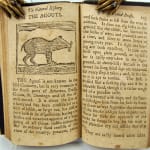The Natural History of Four Footed Beasts by Tommy Trip. Text spread