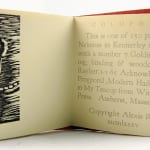 Polishing the Ladybug. Colophon