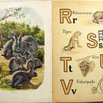 Abecedario by Ramón Sopena. Interior page with letters R-V and illustration of rabbits.