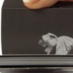 Premier Danseuse Motion Picture Flip Book. Motion page