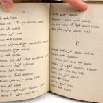 Vocabulaire Français-Arabe (Dialecte Vulgaire de l'Egypte) by H. de Vaujany, edited by Moustapha-Bey Radouan. Interior page.