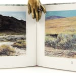 Miniature Paintings. Illustrated spread