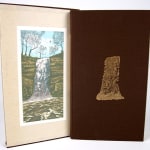 Waterfalls of the Mississippi by Richard Fred Arey. Binding and slipcase