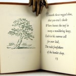 Gray's Elegy. Written in a Country Churchyard. Illustrated text spread
