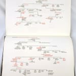 The History of Saint Louis. Family tree