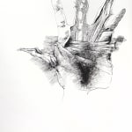 Ars Anatomica. A Medical Fantasia. Illustration