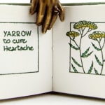 The Language of...Herbs. Illustrated text spread