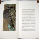 Waterfalls of the Mississippi by Richard Fred Arey. Illustrated text spread