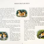 Tierkinder (Animal Babies) by Jewgenij Tscharuschin. Interior page with illustrations of deer.