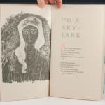 A una Alondra [To a Skylark] by Percy Bysshe Shelly, translated by Miguel Alfredo Olivera, illustrated by Raúl Veroni. Interior page with illustration.