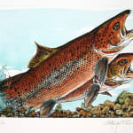 Atlantic Salmon, published by the Cheloniidae Press. Illustration