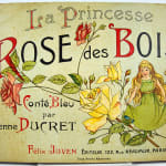 La Princesse Rose des Bois by Lothar Meggendorfer. Front cover