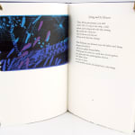 Night Lake by Jean Valentine, illustrated by Linda Plotkin. Interior page and illustration.