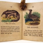 The Girl and Her Pets and Other Stories. Illustrated spread