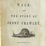 Master Henry's Walk; And the Story of Jenny Crawley. Title page.