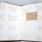 The Lost Wings of Summer by Tracey Bush. Title-page spread
