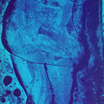 Remarks illustrated by Peter Paone. Lithograph.