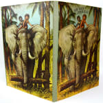 Moko and Koko in the Jungle by Vojtech Kubasta. Binding
