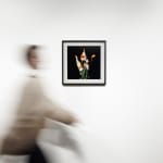 Michael Ullrich, Burning Flowers #9, 50 x 50 cm | 1 of 8 / +2 AP, Fine Art Pigment Print / Black Object Frame, 2023
