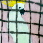 Gabrielle Graessle, n.t. 2024, acrylic and spray on canvas