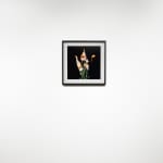 Michael Ullrich, Burning Flowers #9, 50 x 50 cm | 1 of 8 / +2 AP, Fine Art Pigment Print / Black Object Frame, 2023