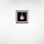 Michael Ullrich, Burning Flowers #14, 50 x 50 cm | 1 of 8 / +2 AP, Fine Art Pigment Print / Black Object Frame, 2023