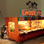 Tracey Snelling, Shoot It!, 2015