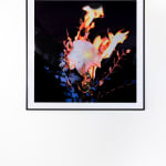 Michael Ullrich, Burning Flowers #4, 2023 | Edition of 5 + 2 AP