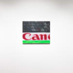Gao Hang, Ale Ale Ale, 2024, Installation view at PULPO GALLERY