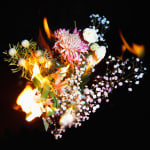 Michael Ullrich, Burning Flowers #2, 2023 | Edition of 5 + 2 AP