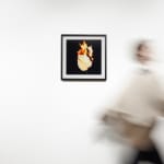 Michael Ullrich, Burning Flowers #13, 50 x 50 cm | 1 of 8 / +2 AP, Fine Art Pigment Print / Black Object Frame, 2023
